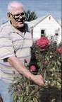Vince Rickert ('62)-Oct 2008 - has over 235 rose bushes in his Toppenish yard